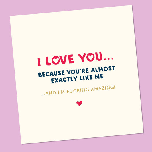 Funny Valentine's Day Card: 'I Love You Because You're Almost Exactly Like Me'